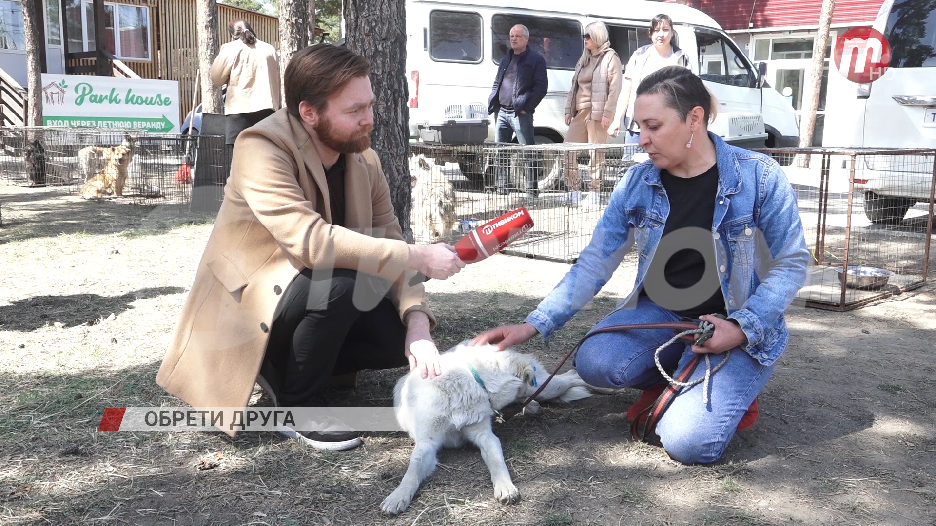В Улан-Удэ прошла выставка-раздача животных, оставшихся без хозяев